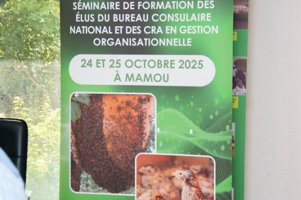 Formation des élus de la CNA Guinée